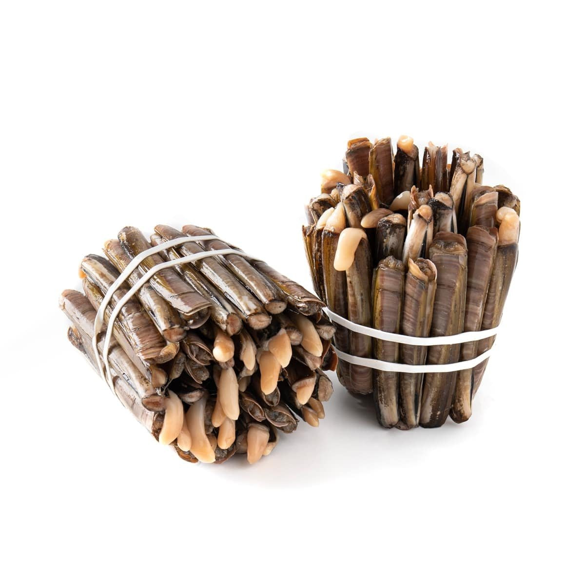 Live Razor Clam 1 kg/pk (PreOrder 7 Days) Thammachart Seafood