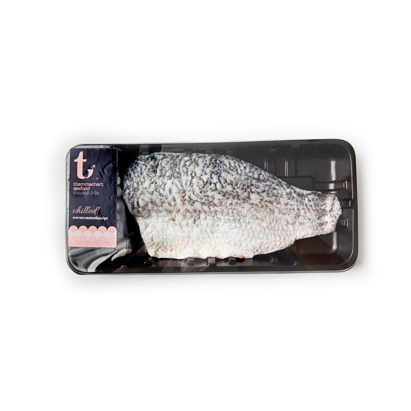 เนื้อปลากะพงขาวแล่แช่แข็ง 100 - 150 กรัม/ชิ้น