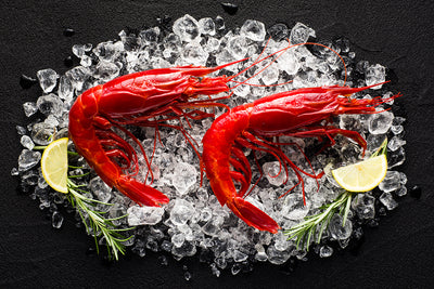 Carabineros Shrimp: Exquisite of the Delightful Delicacy