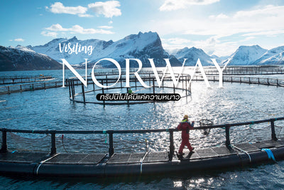 Visiting Norway เยี่ยมฟาร์มแซลมอนที่นอร์เวย์