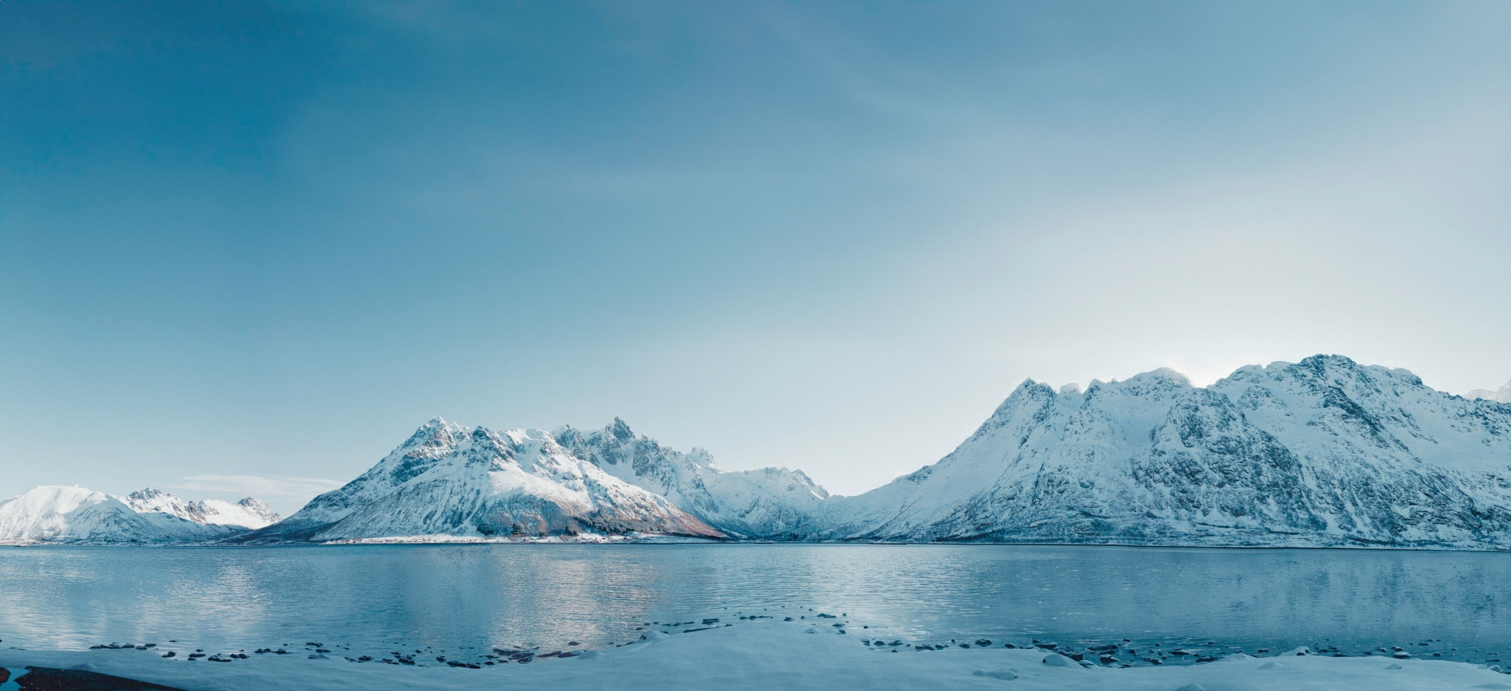 TSR x Seafood from Norway – Thammachart Seafood