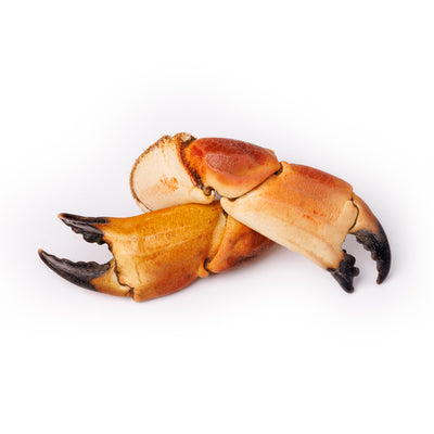 Scottish Brown Crab Claw 1 kg/pk