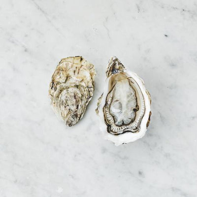 Live Celine Fine Oysters #4, 24 pcs/box (Pre-Order 7 Days)