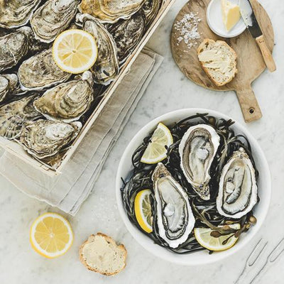 Live Celine Fine Oysters #4, 24 pcs/box (Pre-Order 7 Days)