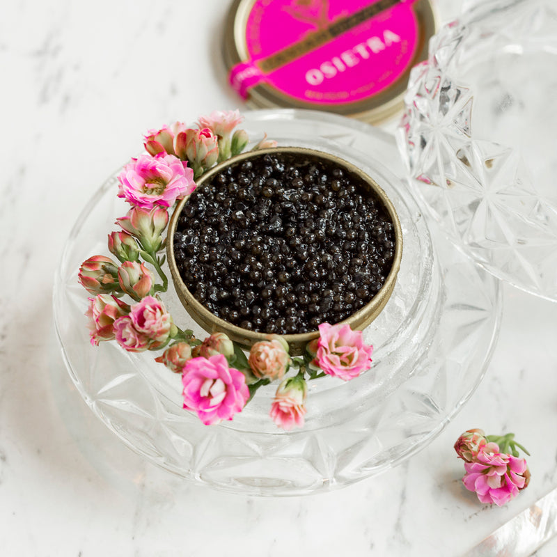 Giaveri Osietra Caviar 15g/tin (Pink Label)