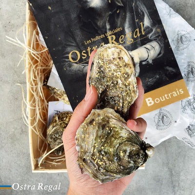 Live Ostra Regal Gold Selection Oysters #3, 12 pcs/box  (Pre-Order 7 Days)