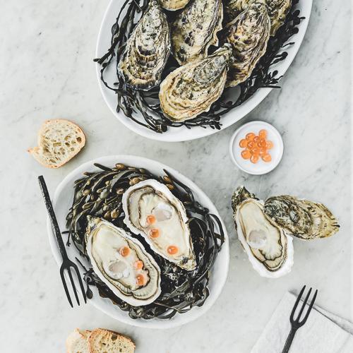 Live Sentinelle Oysters 