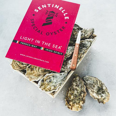 Live Sentinelle Oysters #2, 24 pcs/box  (Pre-Order 7 Days)