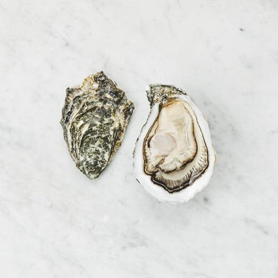 Live Ostra Regal Oysters #3, 12 pcs/box (Pre-Order 7 Days)