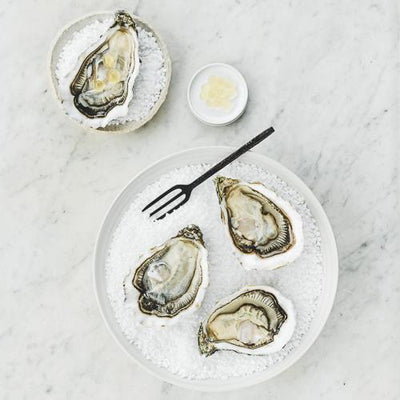 Live Ostra Regal Oysters #3, 12 pcs/box (Pre-Order 7 Days)