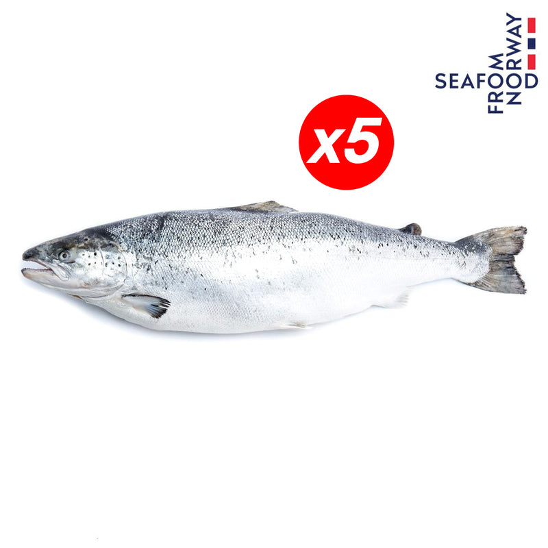 ปลาแซลมอนนอร์เวย์สด (ทั้งตัว) 4-5 kg x 5 ตัว