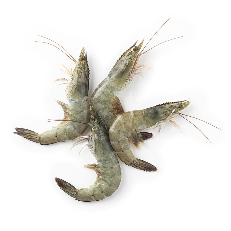 Raw White Vannamei Shrimp (L) 26-30 pcs/kg (PRE - ORDER 2 DAYS)