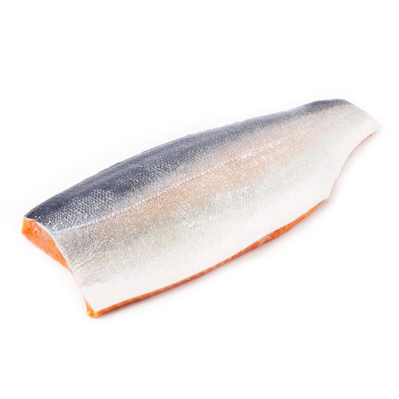 อาโอโมริเทร้าต์  Aomori Trout เเล่