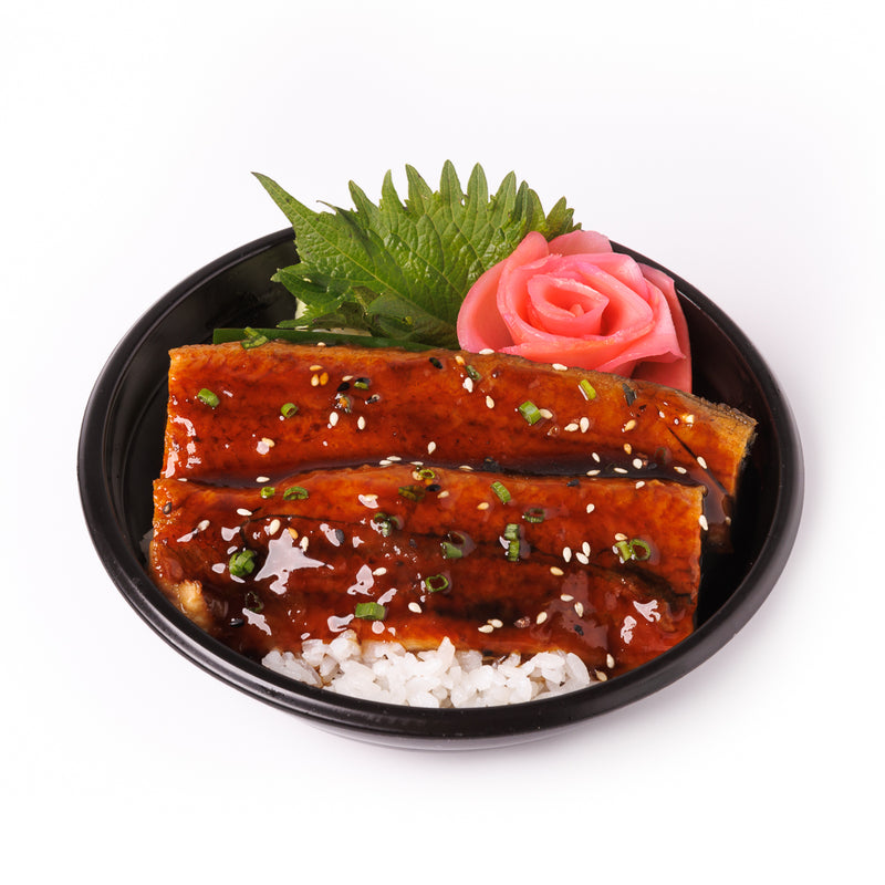 Unagi Donburi