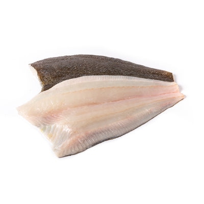 Fresh Hirame 1.5-2 kg/fish (Pre-Order 5 Days)
