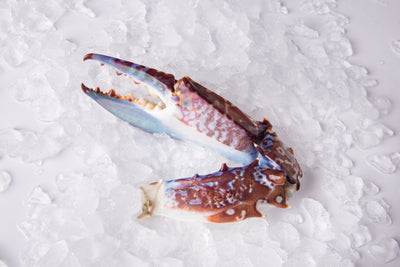 Frozen Mediteranean Crab Claw 1 kg/pack (Special Price! 2 Packs only at 1,990.-)