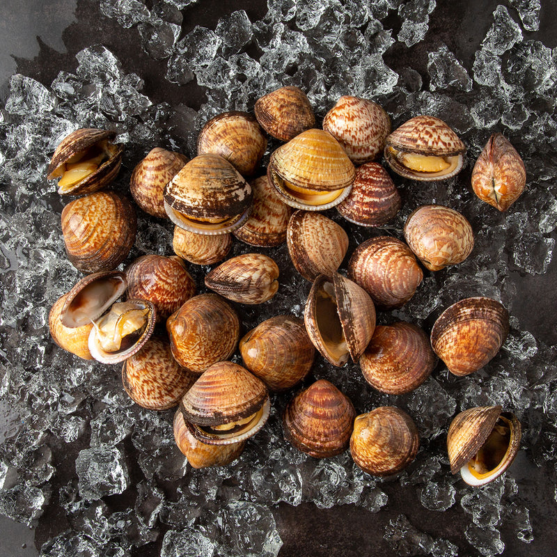 Fresh French Dog Cockle 1 kg/pk (Pre-Order 7 days)