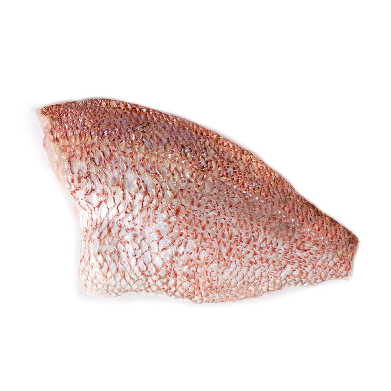 Fresh Red Sea Bream (Madai) (Pre-Order 7 Days)