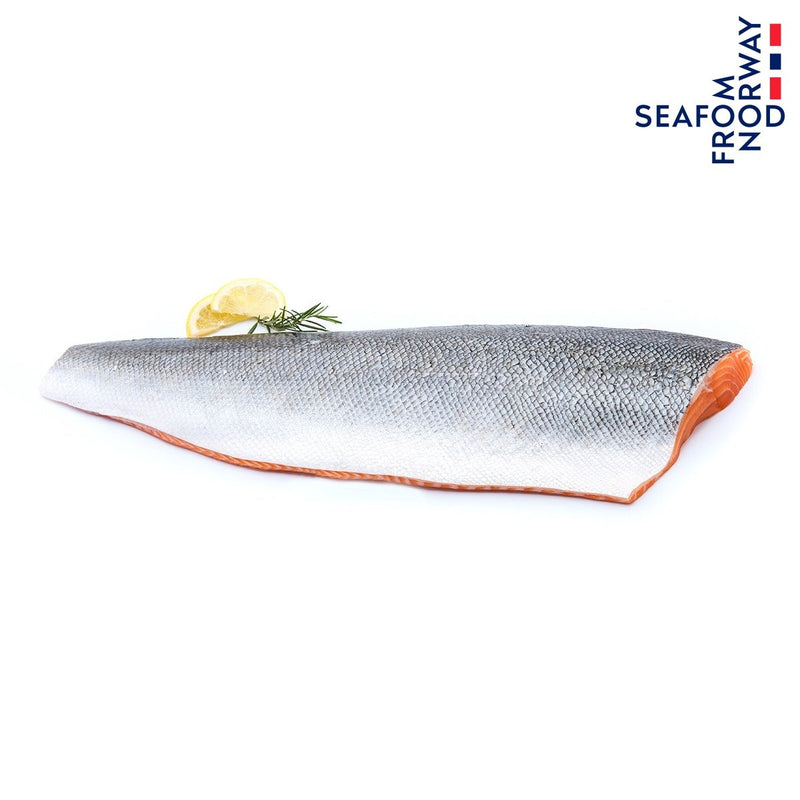 Fresh Norwegian Fjord Trout 4-5 kg/fish