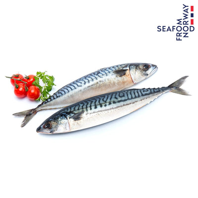 Frozen Norwegian Mackerel 400-600 g/pc