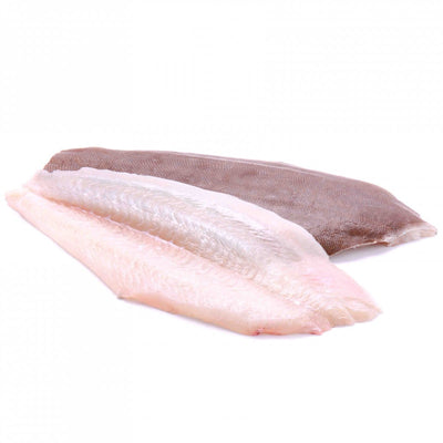 ปลาโดเวอร์โซลสด 600 - 800 กรัม/ตัว (สั่งจองล่วงหน้า 7 วัน)