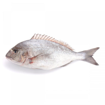 Fresh Mediteranean Seabream 400-600g, 3 kg/set, 6 pcs/set ปลาซีบรีมเมดิเตอเรเนี่ยน ( PRE-ORDER )