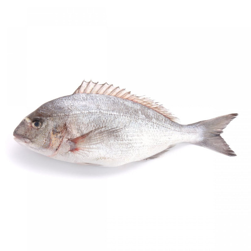 Fresh Mediteranean Seabream 400-600g, 3 kg/set, 6 pcs/set ปลาซีบรีมเมดิเตอเรเนี่ยน ( PRE-ORDER )