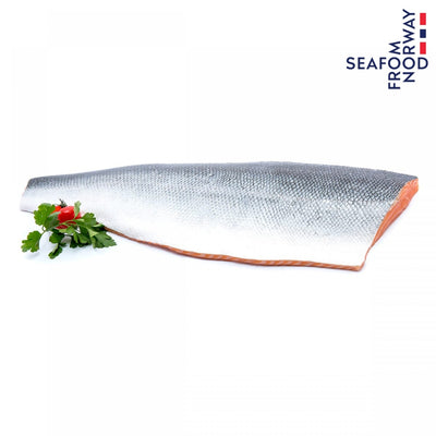 ปลาแซลมอน นอร์เวย์ สด แล่  fresh Norwegian salmon fillet
