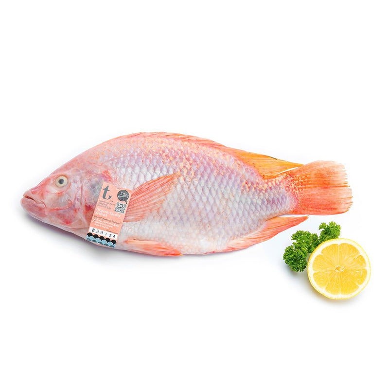 Fresh Red Tilapia 2 fishes. (500-700 g/fish) (PRE - ORDER 2 DAYS)