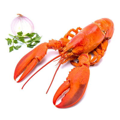 Frozen Cooked American Lobster 400-500g/piece