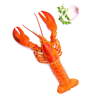 Frozen Cooked American Lobster 400-500g/piece