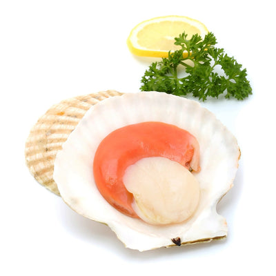 Frozen Hokkaido 1/2 Shell Scallops 1kg/pack