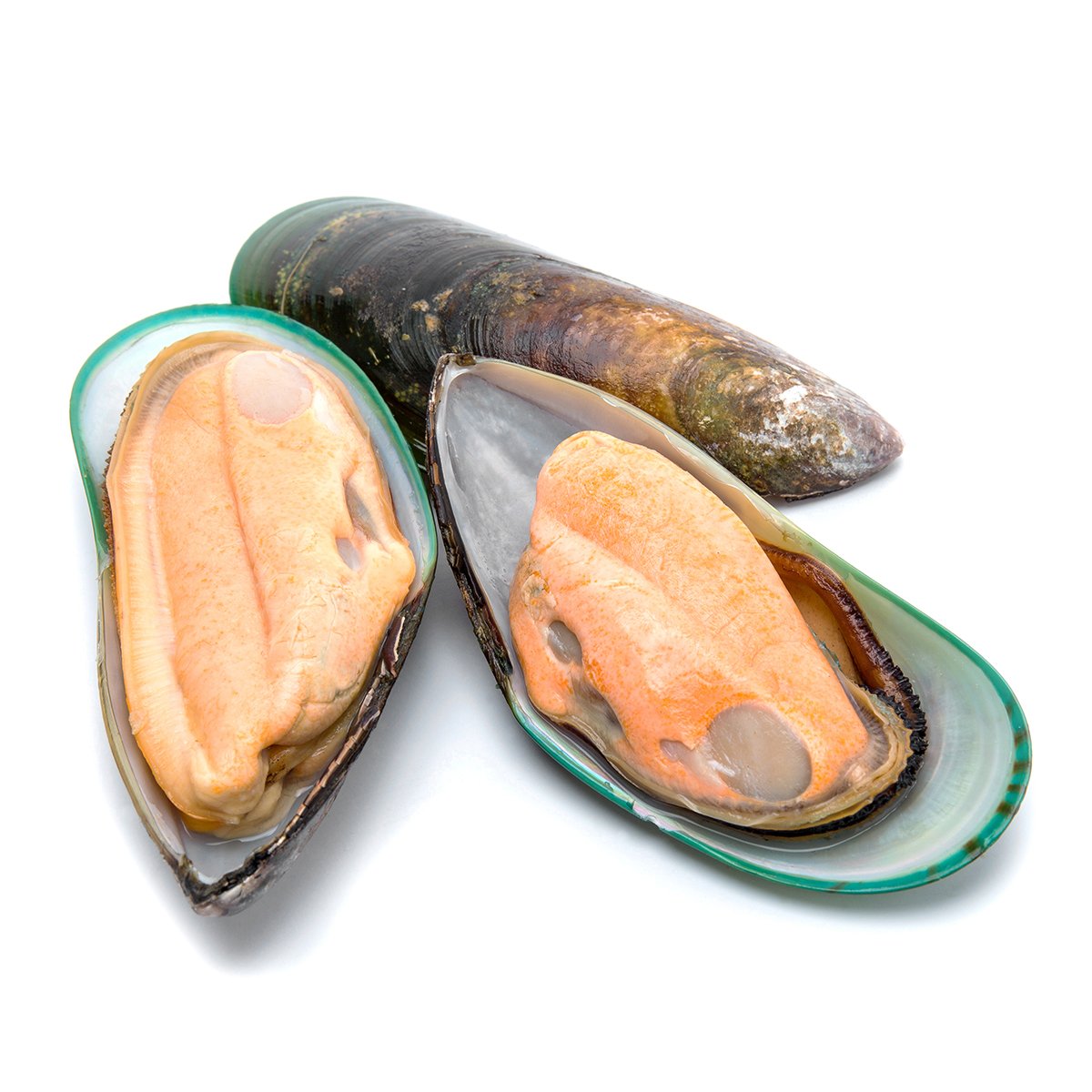 Frozen NZ Greenshell Mussels 1kg/pack – Thammachart Seafood