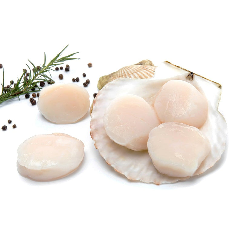 Frozen US Scallops 1kg/pack