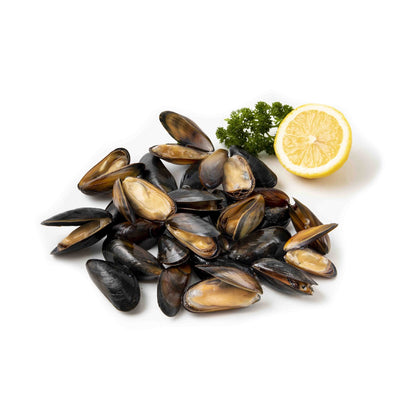 Live Dutch Mussel (Pre-Order 7 Days)