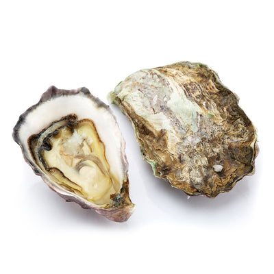 Live Sydney Rock Oysters  (Pre-Order 1 Day)