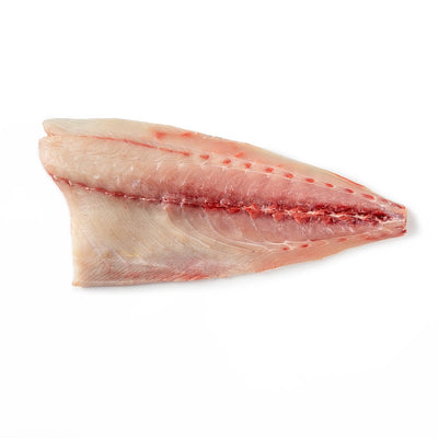 เนื้อปลาฮามาจิแล่แช่แข็ง 1.6 - 2.2/ชิ้น